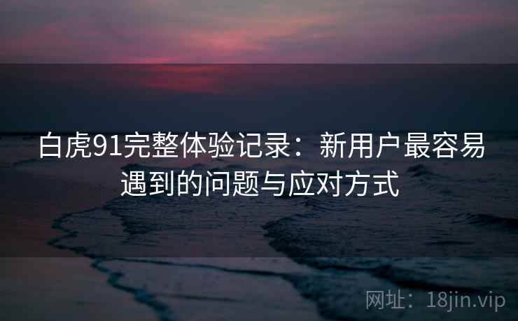 白虎91完整体验记录：新用户最容易遇到的问题与应对方式  第2张