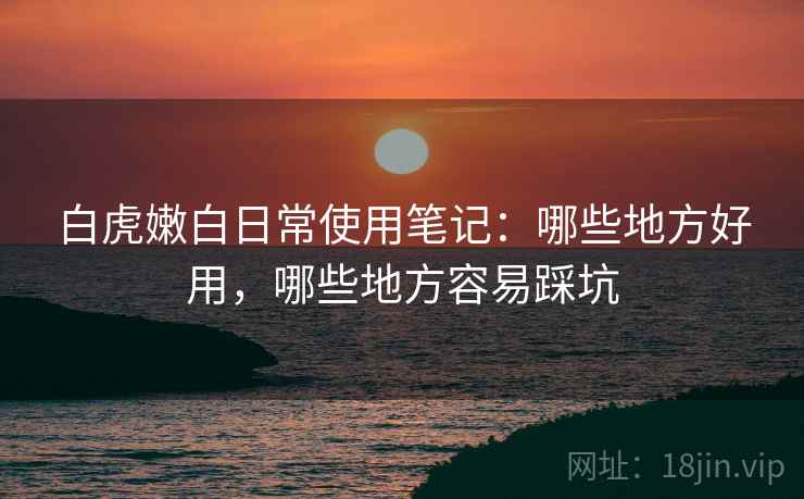 白虎嫩白日常使用笔记：哪些地方好用，哪些地方容易踩坑  第1张