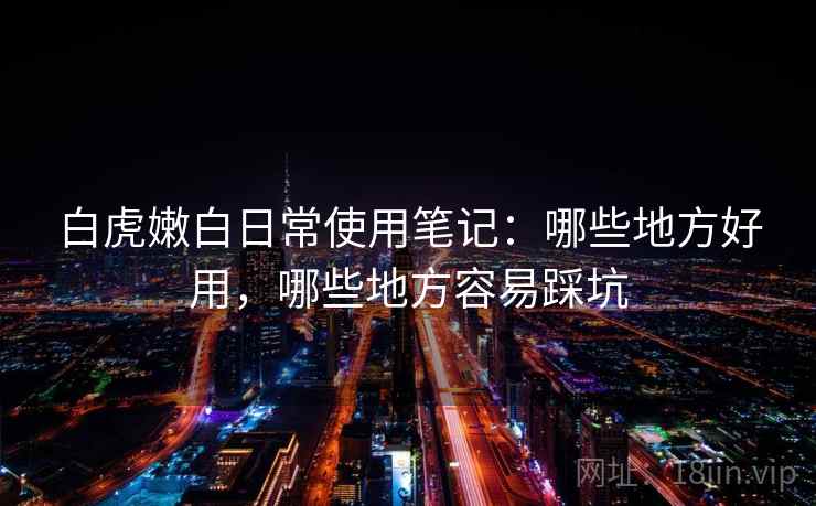 白虎嫩白日常使用笔记：哪些地方好用，哪些地方容易踩坑  第2张