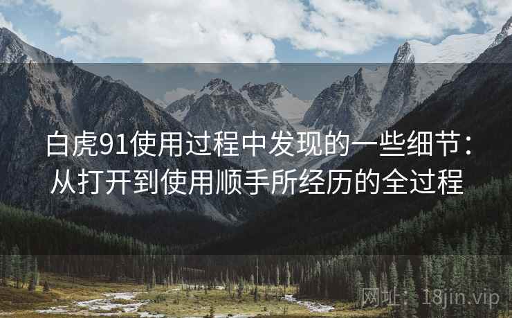 白虎91使用过程中发现的一些细节：从打开到使用顺手所经历的全过程  第2张