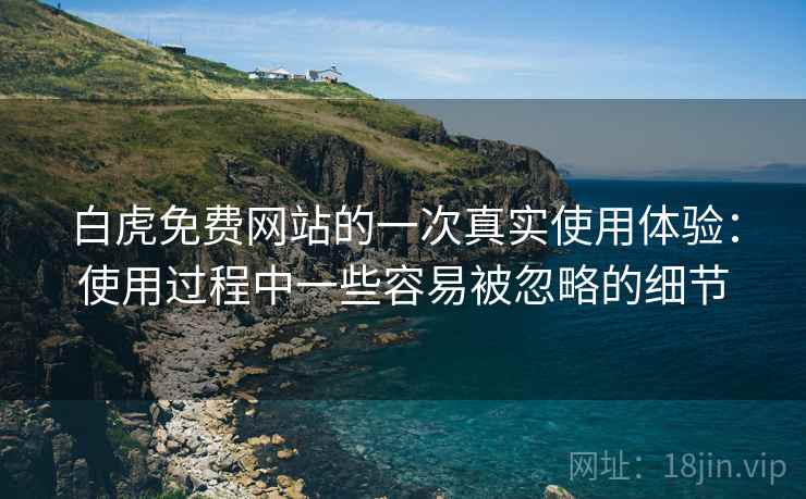 白虎免费网站的一次真实使用体验：使用过程中一些容易被忽略的细节  第1张