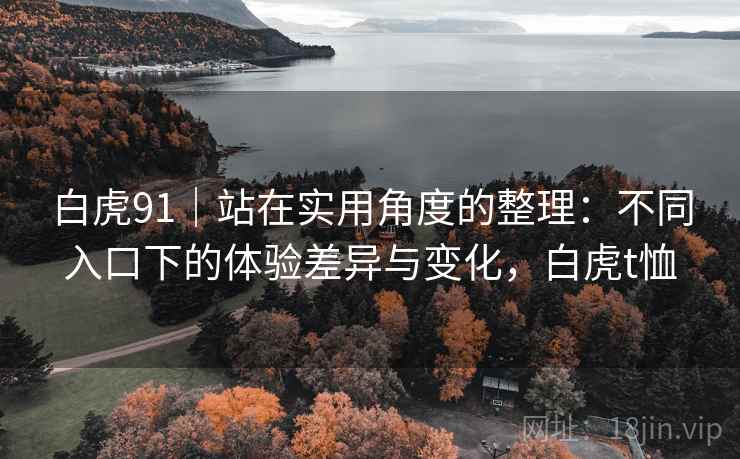 白虎91|站在实用角度的整理:不同入口下的体验差异与变化,白虎t恤 第2张 白虎91|站在实用角度的整理:不同入口下的体验差异与变化,白虎t恤 第2张