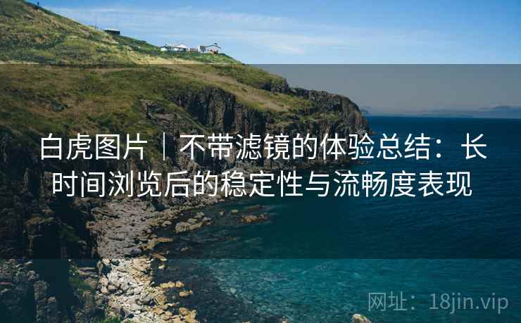 白虎图片|不带滤镜的体验总结:长时间浏览后的稳定性与流畅度表现 第1张 白虎图片|不带滤镜的体验总结:长时间浏览后的稳定性与流畅度表现 第1张