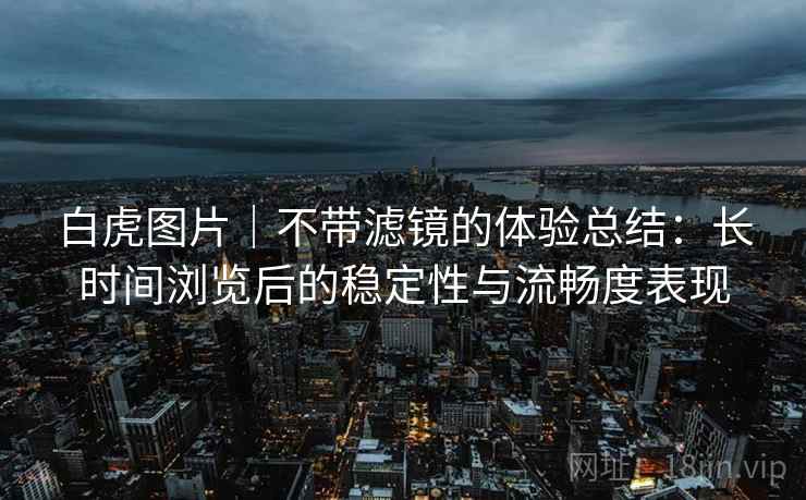 白虎图片|不带滤镜的体验总结:长时间浏览后的稳定性与流畅度表现 第2张 白虎图片|不带滤镜的体验总结:长时间浏览后的稳定性与流畅度表现 第2张