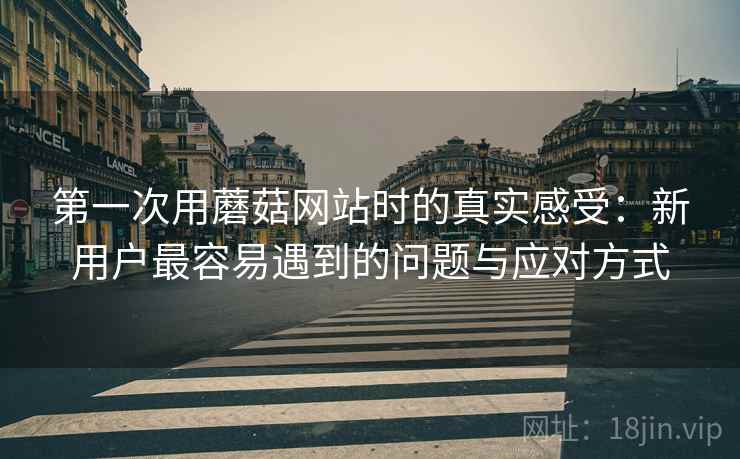 第一次用蘑菇网站时的真实感受:新用户最容易遇到的问题与应对方式 第2张 第一次用蘑菇网站时的真实感受:新用户最容易遇到的问题与应对方式 第2张