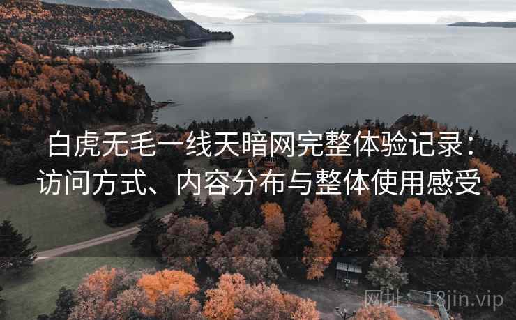 白虎无毛一线天暗网完整体验记录:访问方式、内容分布与整体使用感受 第2张 白虎无毛一线天暗网完整体验记录:访问方式、内容分布与整体使用感受 第2张