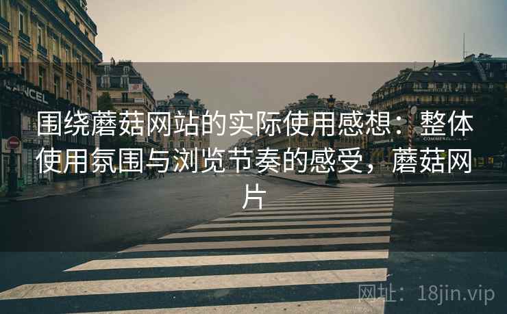 围绕蘑菇网站的实际使用感想:整体使用氛围与浏览节奏的感受,蘑菇网片 第2张 围绕蘑菇网站的实际使用感想:整体使用氛围与浏览节奏的感受,蘑菇网片 第2张