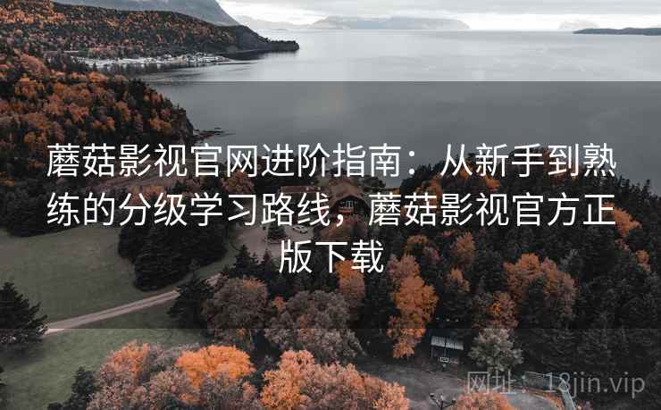 蘑菇影视官网进阶指南:从新手到熟练的分级学习路线,蘑菇影视官方正版下载 第2张 蘑菇影视官网进阶指南:从新手到熟练的分级学习路线,蘑菇影视官方正版下载 第2张