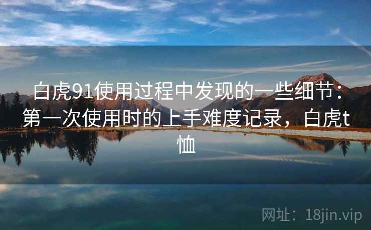 白虎91使用过程中发现的一些细节:第一次使用时的上手难度记录,白虎t恤 第1张 白虎91使用过程中发现的一些细节:第一次使用时的上手难度记录,白虎t恤 第1张